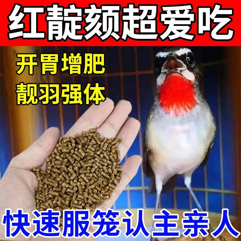 靛颏鸟专用鸟粮大山雀红靛鸟食红蓝靛提性高蛋白料小颗粒营养全面图片