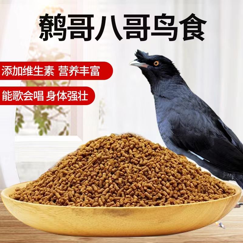 八哥开口亮毛高蛋白专用鸟粮