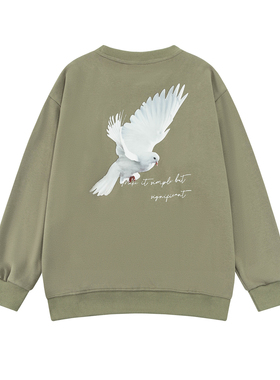 2025春秋新款圆领字母印花情侣卫衣男400g个性学生宽松无帽上衣潮