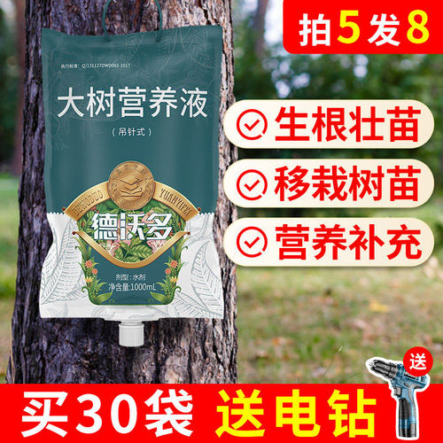 |给大树打吊针|唤醒树动力补营养