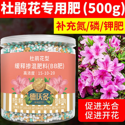 杜鹃花肥料专用肥促开花复合肥