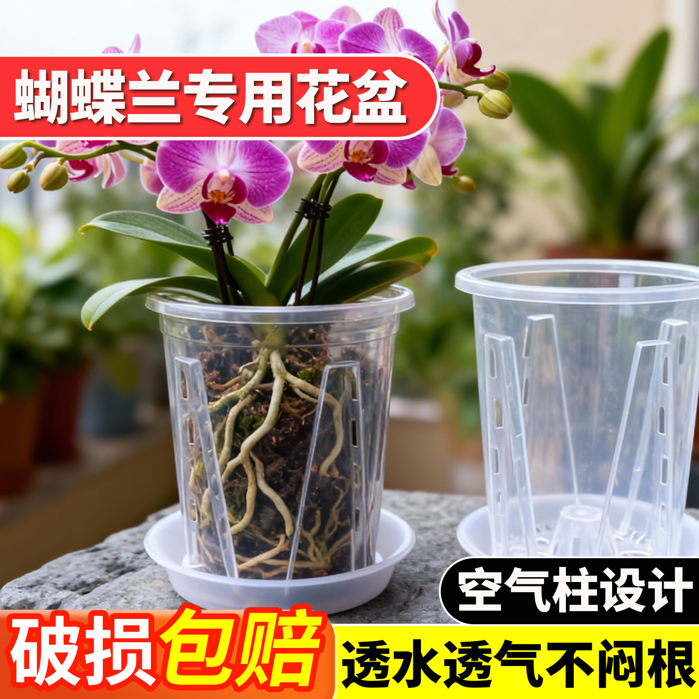 蝴蝶兰花盆透明控根塑料透气加厚蝴蝶兰套盆海芋兰花高端青山花盆