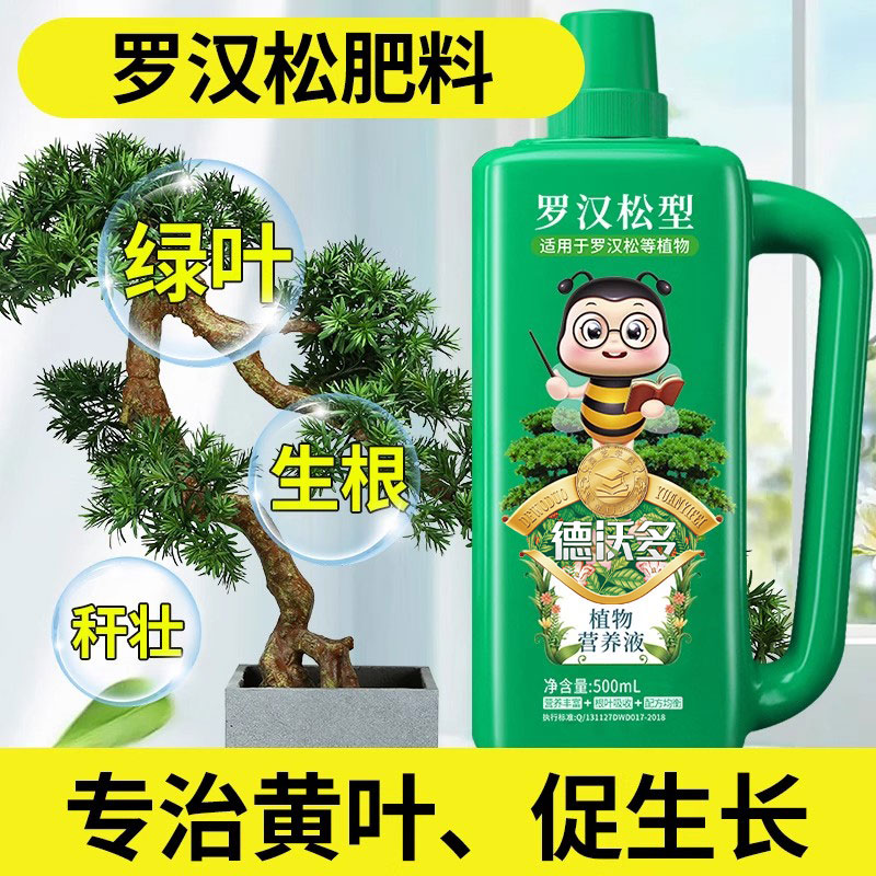 罗汉松肥料专用营养液通用肥