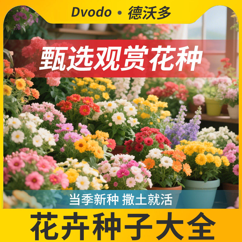 花卉种子大全四季播种盆栽植物驱蚊薰衣草向日葵薄荷太阳花种籽孑
