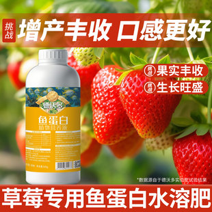 鱼蛋白水溶肥草莓专用肥氨基酸营养液草莓肥料膨大剂膨果肥有机肥