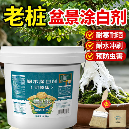 盆景老桩刷树涂白剂石硫合剂