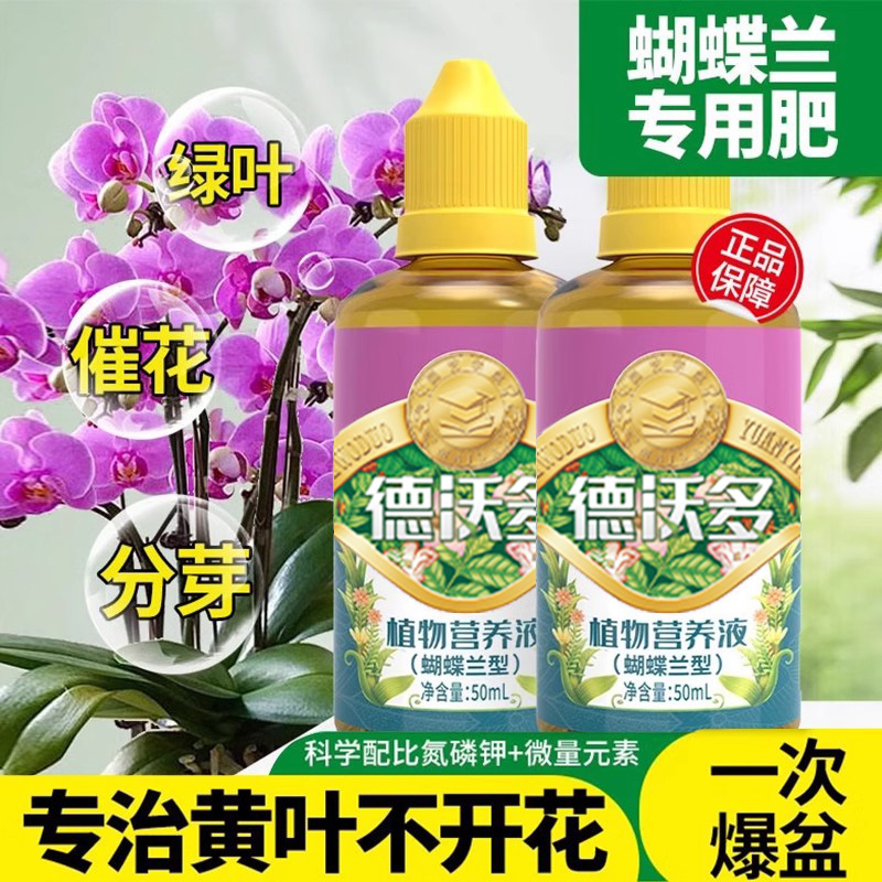 蝴蝶兰肥料专用肥促分芽催花剑