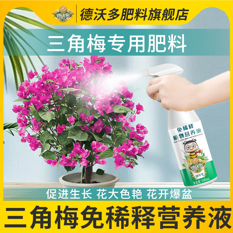 三角梅肥料专用肥免稀释营养液肥