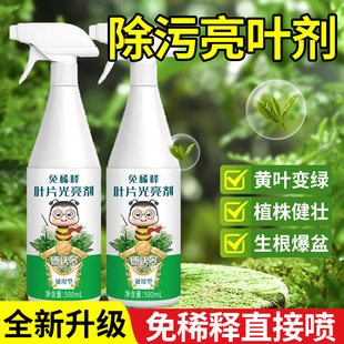 植物亮叶剂花卉除污剂一喷净叶面光亮清洁洗剂免稀释叶面肥料家用