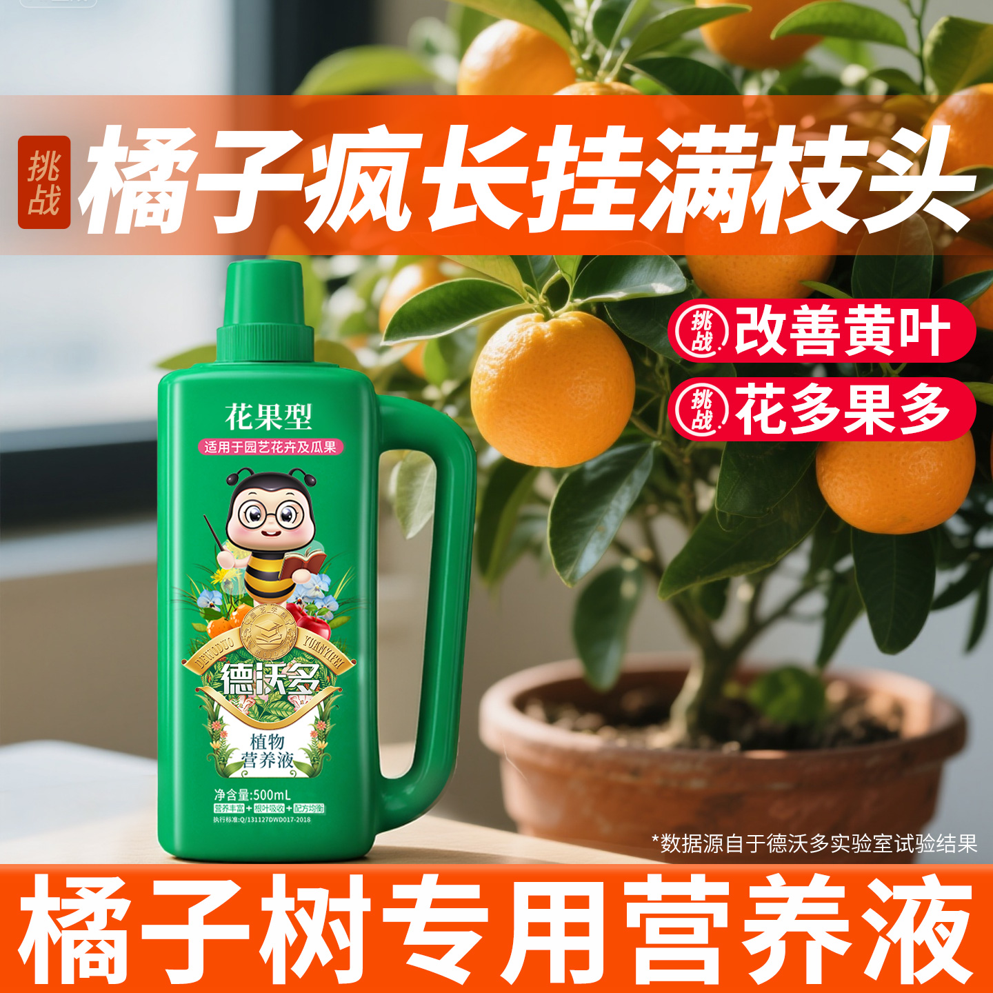 【膨果增甜】橘子树营养液防黄叶
