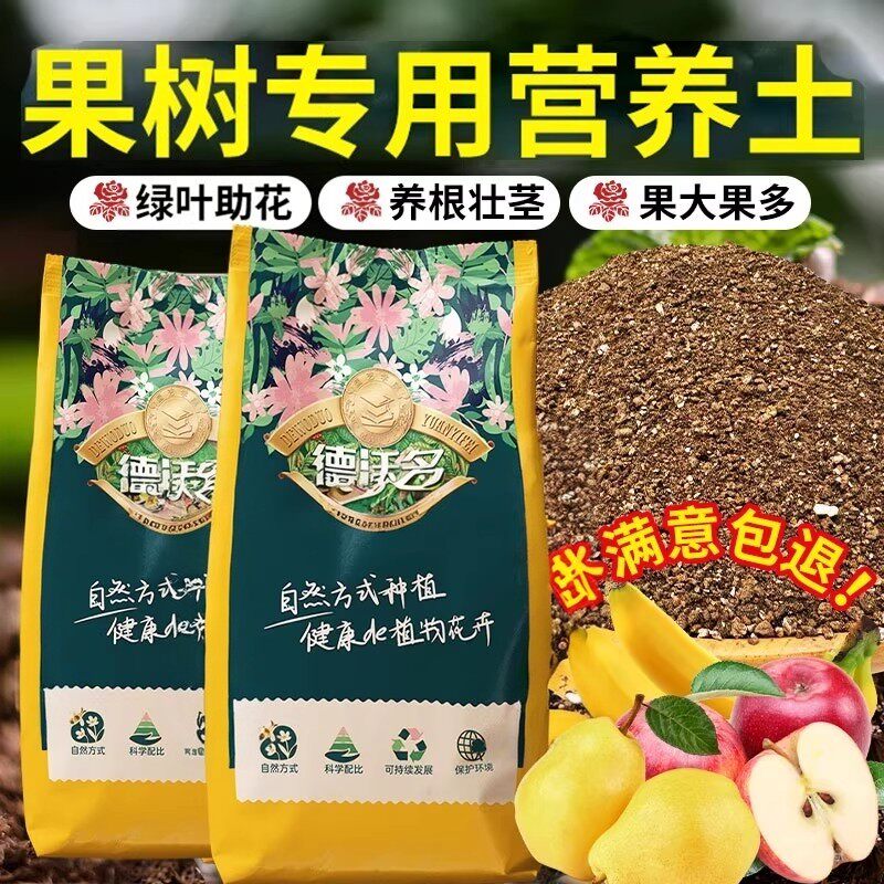 果树专用营养土盆栽柠檬树果苗橘图片