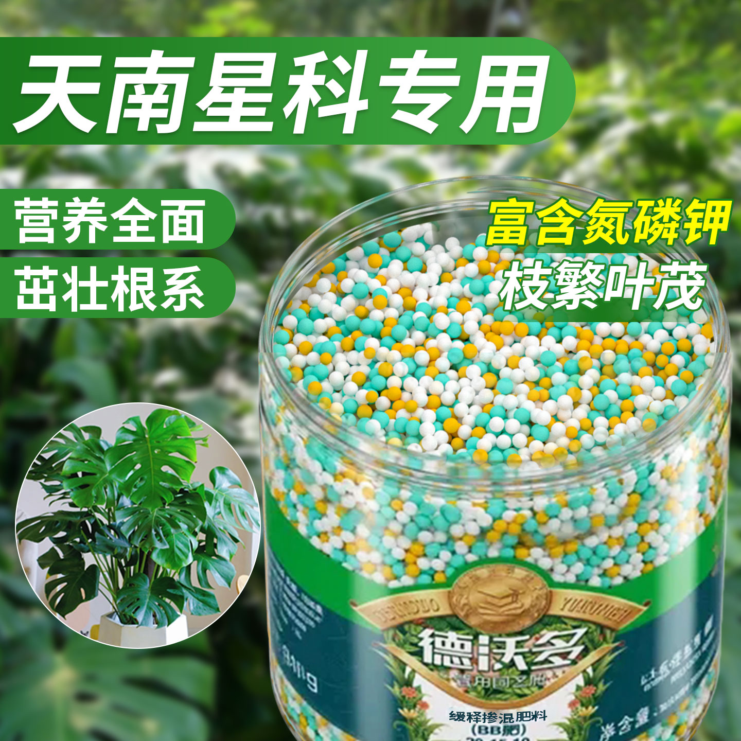南天星植物专用|温和缓释不烧苗
