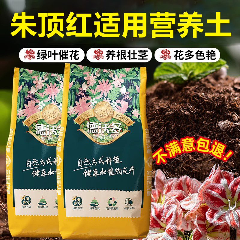 种朱顶红专用土营养土球根种球养