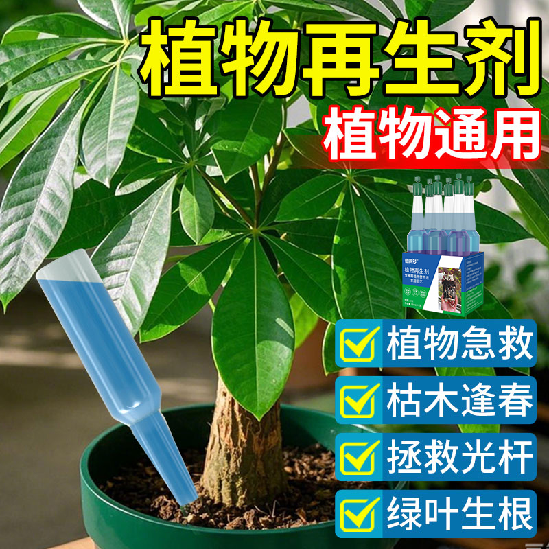 植物再生剂浓缩营养液花肥料盆栽