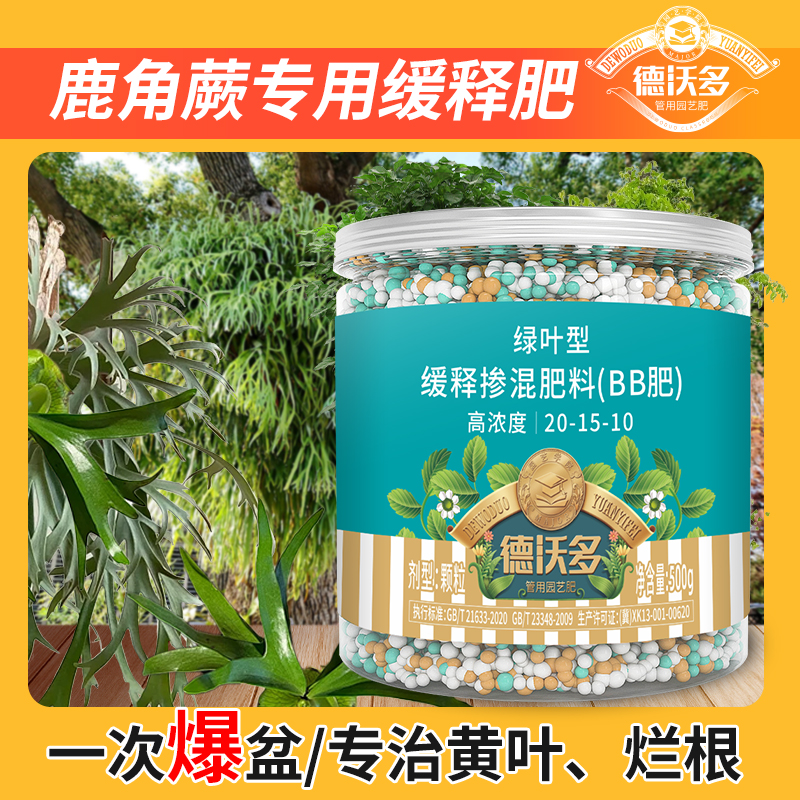 鹿角蕨肥料专用缓释肥家用盆栽