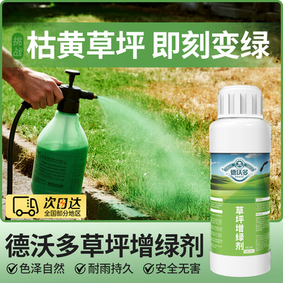 草坪增绿剂婚礼地毯草坪染色剂草皮黄叶一喷绿园林植物黄叶营养液