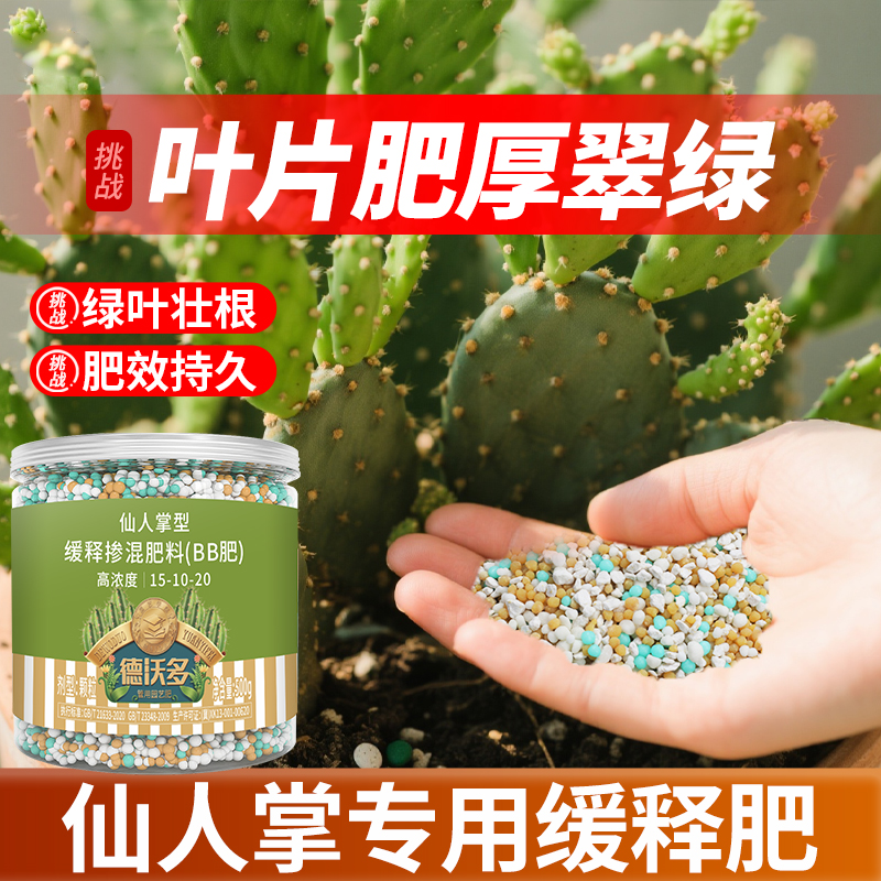 【叶片肥厚翠绿】仙人掌用缓释肥