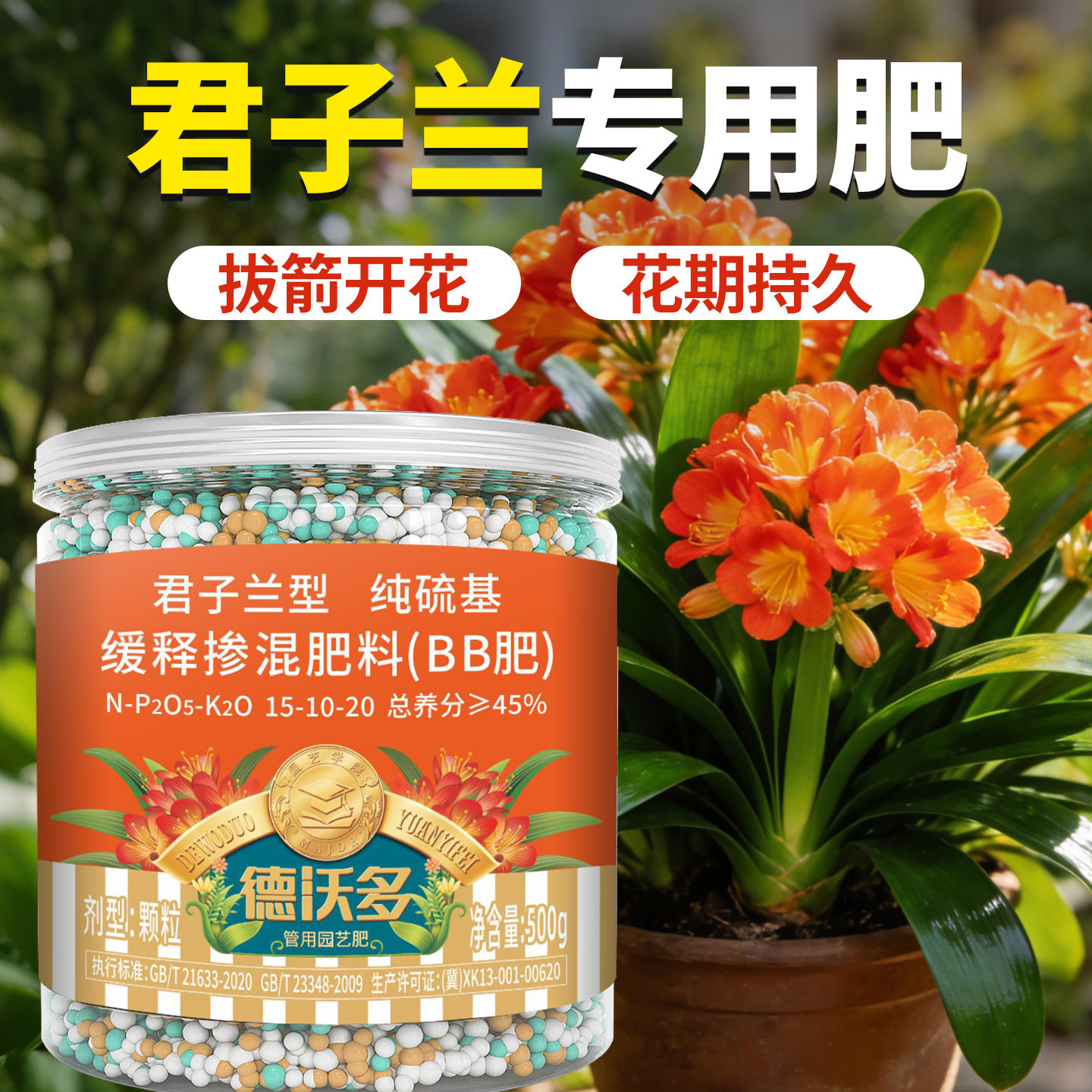 君子兰专用肥颗粒缓释肥复合肥料图片