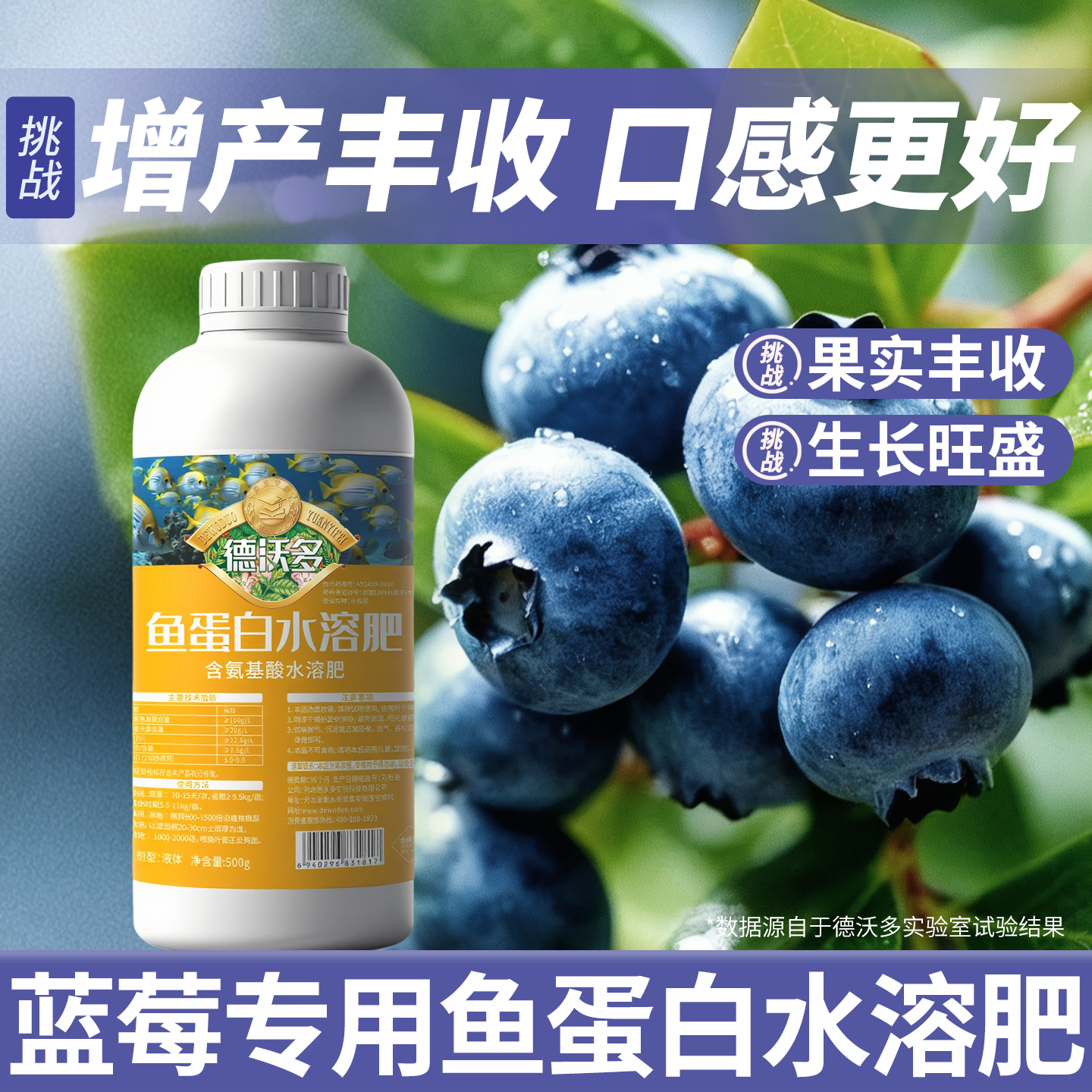 蓝莓专用鱼蛋白水溶肥膨果增甜氨基酸有机肥叶面肥料瓜果蔬营养液