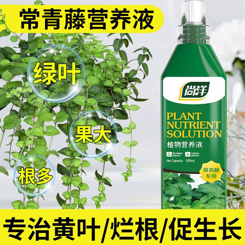 常青藤肥料专用肥营养液室内盆栽促绿叶生根治掉叶花肥通用水溶肥,鲜花速递/花卉仿真/绿植园艺,家庭园艺肥料,淘宝优惠券,粉丝福利购,淘宝优惠卷