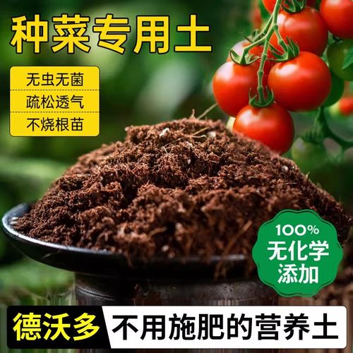 种菜专用土蔬菜营养土家庭育苗