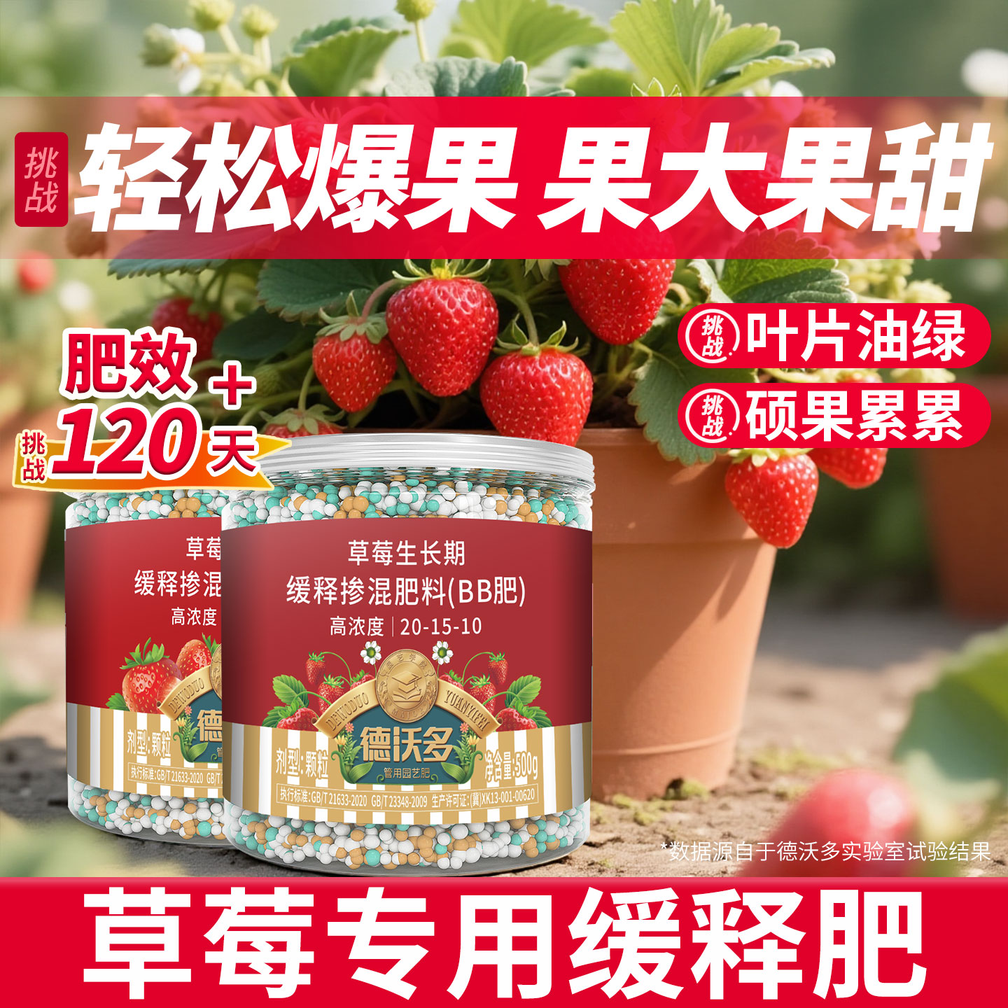 【花多果多】草莓缓释肥膨果增甜