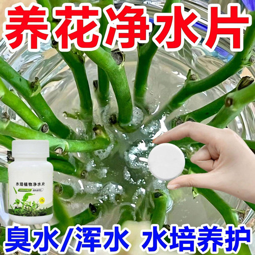 水培植物净水片专用碗莲荷花富贵