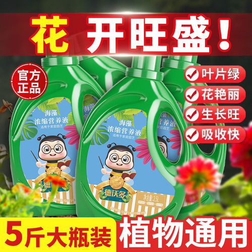 通用型植物浓缩营养液发财树花肥