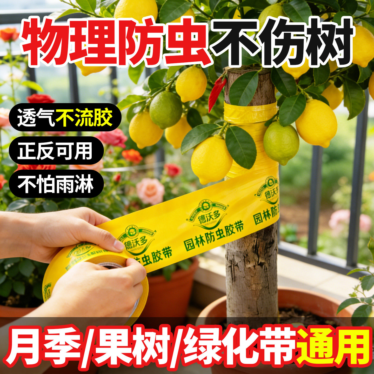 防虫胶带园林树木果树专用胶带园林粘虫胶带盆栽植物物理隔虫黏虫