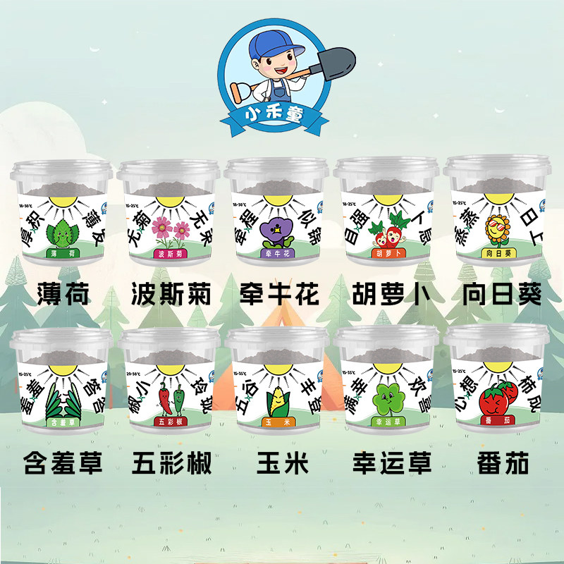 儿童种植小盆栽太阳花向日葵蔬菜花种籽子植物生长观察箱蔬菜种子,鲜花速递/花卉仿真/绿植园艺,介质/营养土,淘宝优惠券,粉丝福利购,淘宝优惠卷