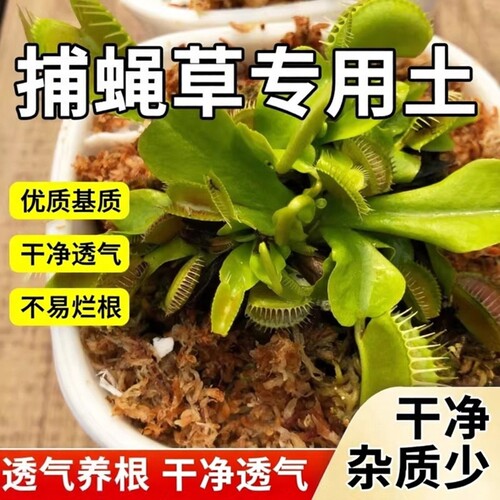 德沃多捕蝇草专用水苔
