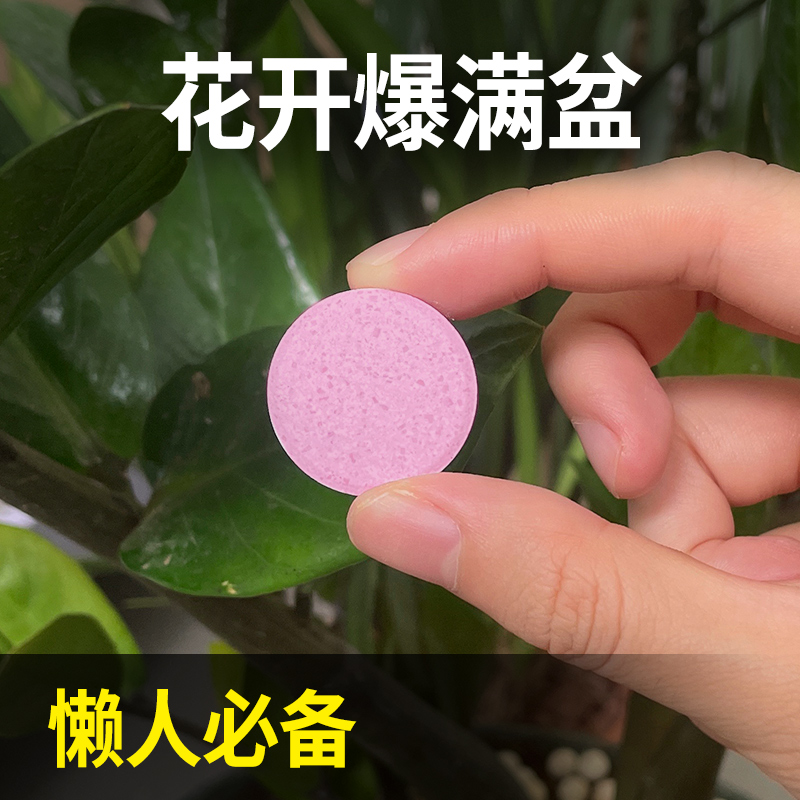 德沃多缓释营养片植物通用