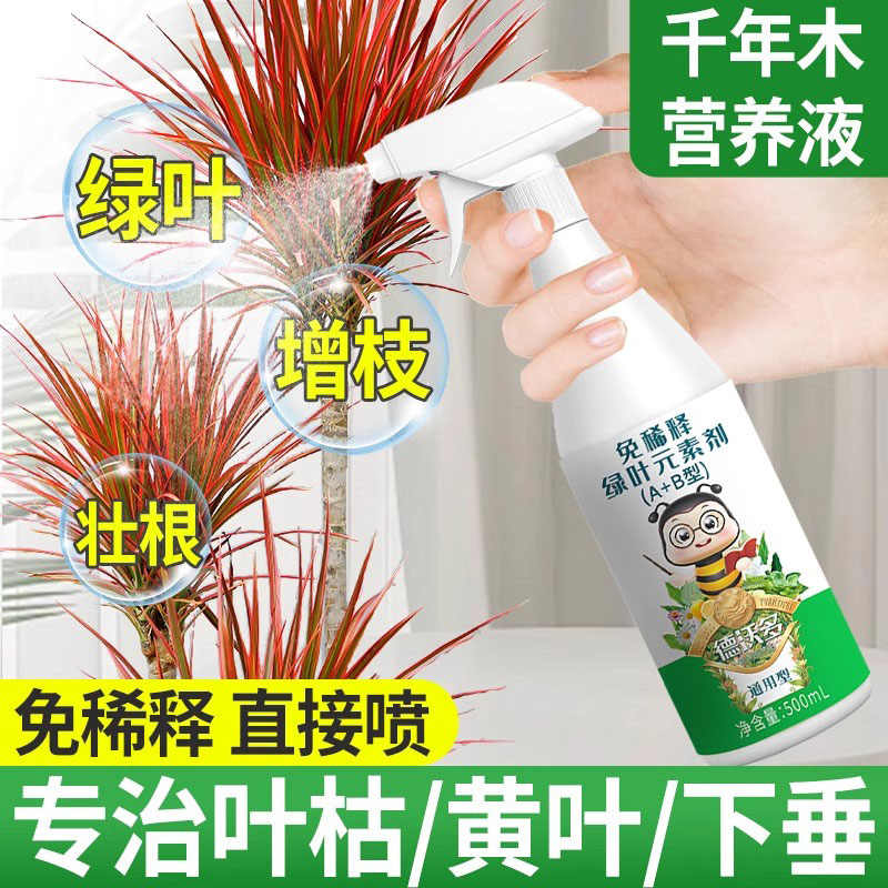千年木专用营养液免稀释绿叶肥料
