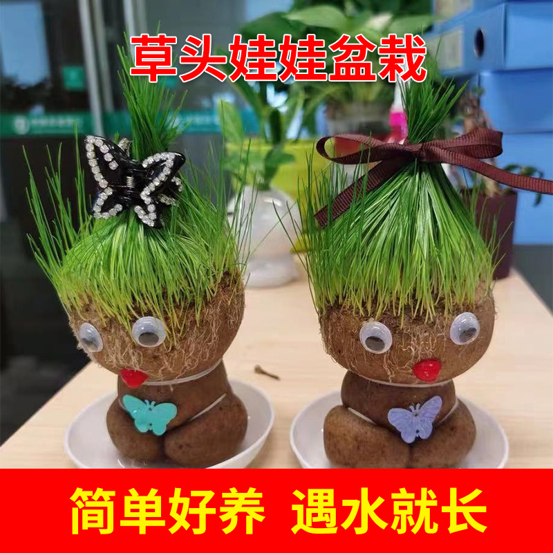 草头娃娃儿童种草头上长草人种植浇水长头发小盆栽幼儿园网红公仔-封面