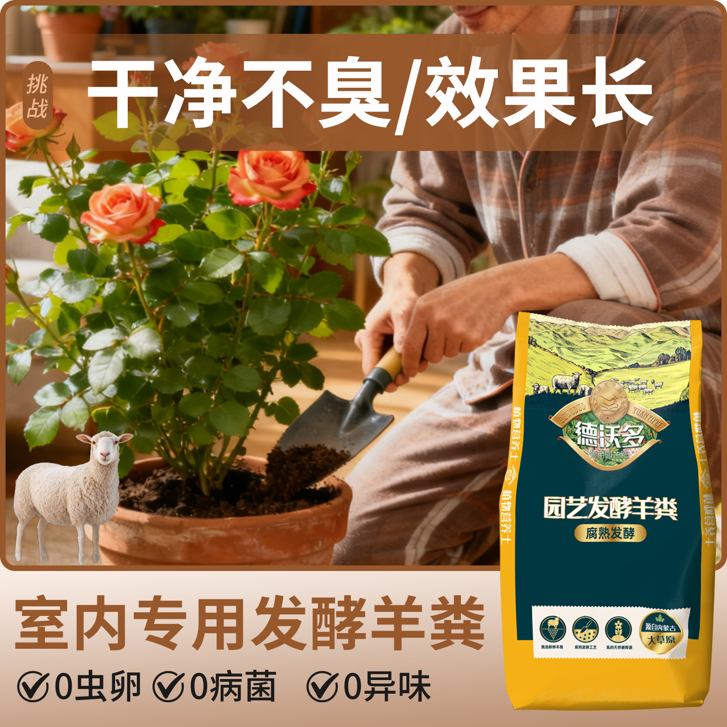 【室内专用】发酵纯羊粪养花种菜