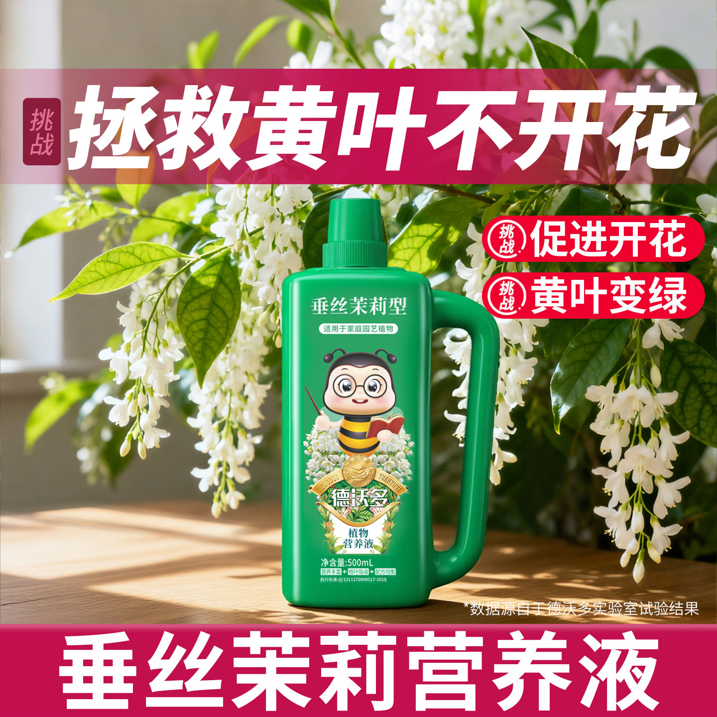 【1次开爆盆】垂丝茉莉营养液