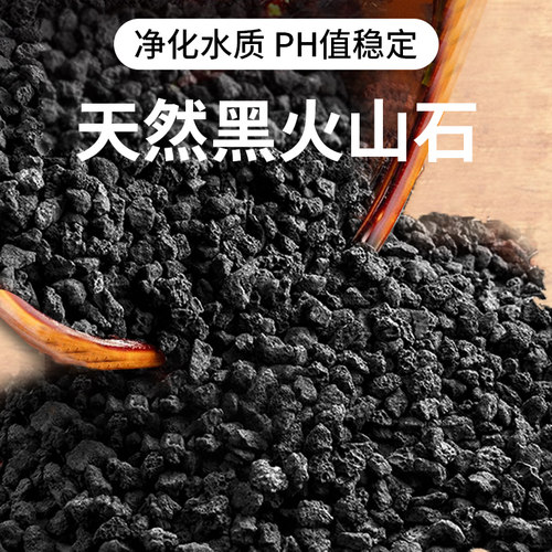 天然黑色火山岩颗粒多肉植物盆栽铺面石营养土水族净水造景富士砂