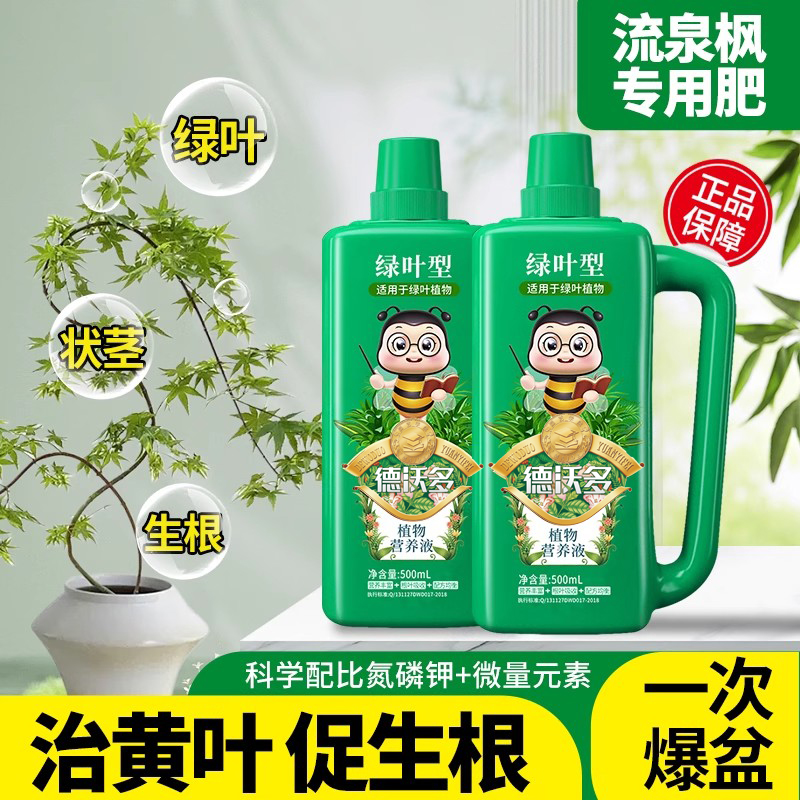 流泉枫肥料专用肥营养液室内盆栽