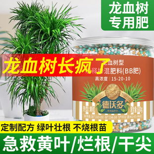 龙血树专用肥料缓释肥化肥龙须树营养液家用盆栽颗粒复合肥促绿叶