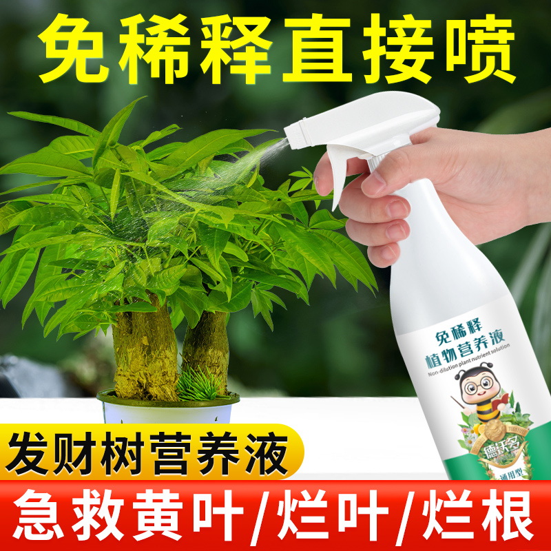 免稀释发财树营养液专用肥花肥料室内盆栽植物金钱树土水培通用型