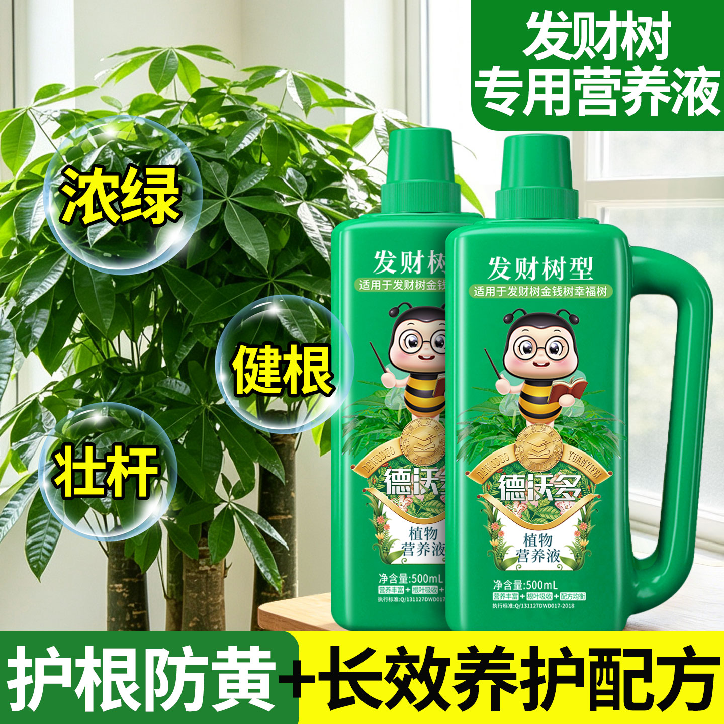 发财树专用营养液治烂根黄叶掉叶图片