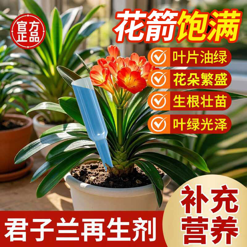 君子兰再生剂兰科通用浓缩营养液图片