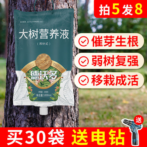 |给大树打吊针|唤醒树动力补营养