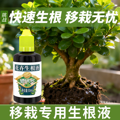 移栽生根液生根剂生根壮苗剂快速生根营养液植物通用扦插强力生根