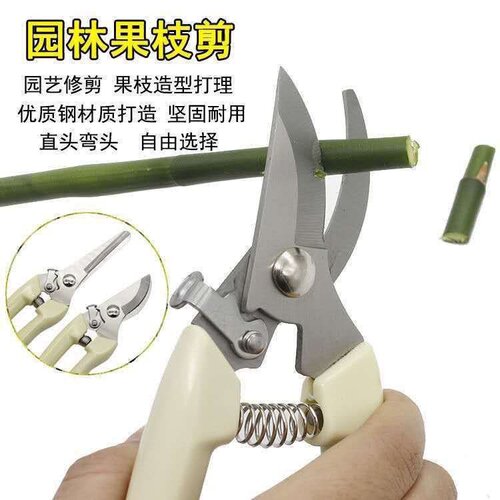 钢粗枝剪省力修枝剪刀园艺修花木果树嫁接园林剪工具