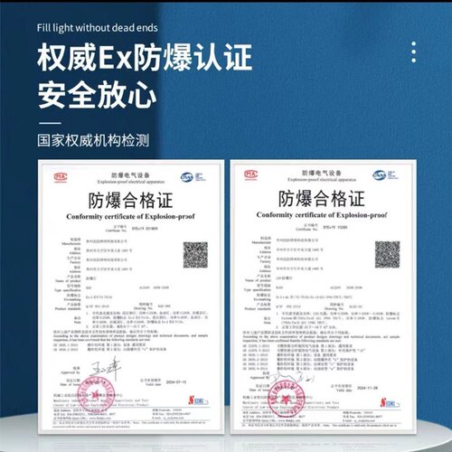 国标LED防爆灯隔爆型车间工厂房照明灯仓库灯防暴型灯罩加油站灯
