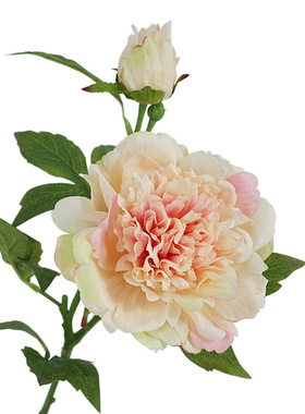 高品质手感保湿牡丹芍药室内家居装饰花艺新中式插花摆件摄影道具