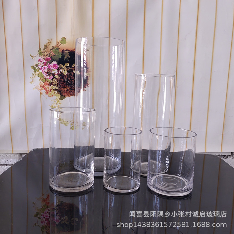 透明大号圆柱形玻璃直筒花瓶小号杯子高马醉木花瓶圆筒水培花瓶