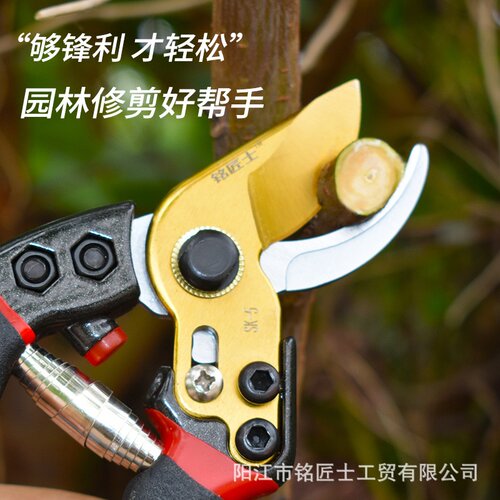 树枝剪刀省力果树剪刀修枝剪刀园林剪强力粗枝剪花艺剪刀SK5剪子