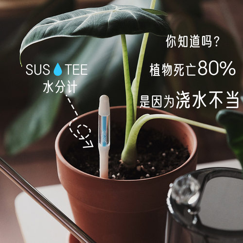 sustee水分计兰花湿度计土壤检测仪缺水提醒仪园艺水分计浇水